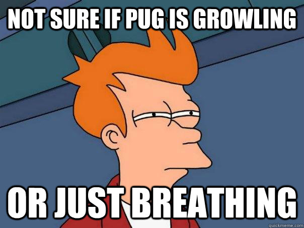 Not sure if pug is growling Or just breathing  Futurama Fry