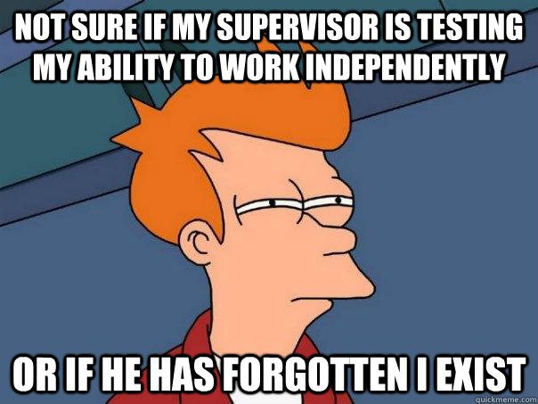 Not sure if my supervisor is testing my ability to work independently or if he has forgotten I exist  Futurama Fry