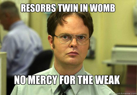 Resorbs twin in womb No mercy for the weak  Schrute
