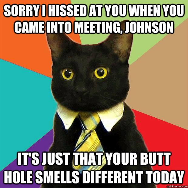 Sorry I hissed at you when you came into meeting, Johnson It's just that your butt hole smells different today  