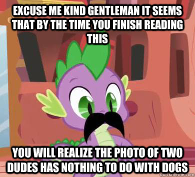 excuse me kind gentleman it seems that by the time you finish reading this you will realize the photo of two dudes has nothing to do with dogs  My little pony