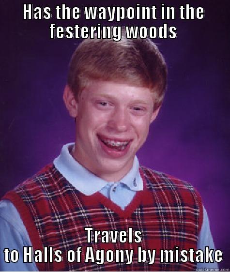D3 shenanigans - HAS THE WAYPOINT IN THE FESTERING WOODS TRAVELS TO HALLS OF AGONY BY MISTAKE Bad Luck Brian