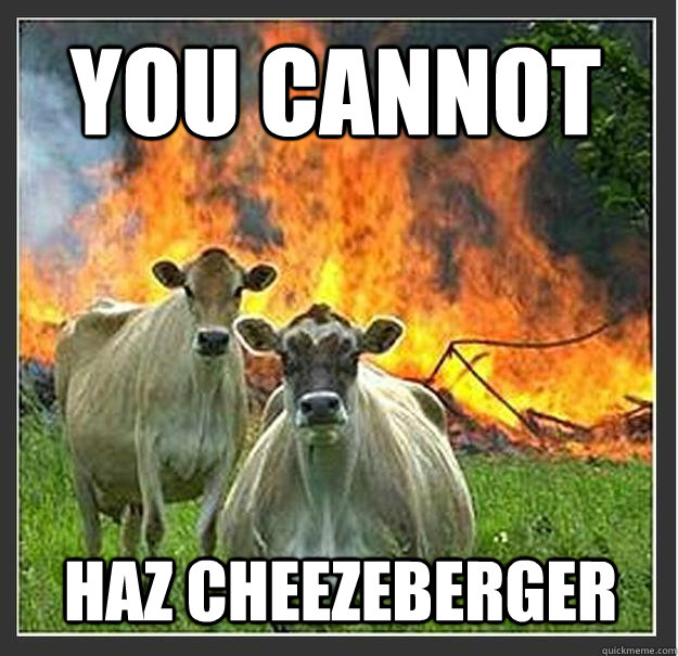 You Cannot Haz cheezeberger  - You Cannot Haz cheezeberger   Evil cows