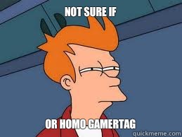 Not sure if Or Homo gamertag  Meme
