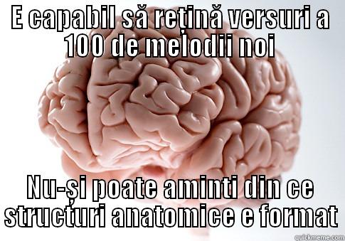 E CAPABIL SĂ REȚINĂ VERSURI A 100 DE MELODII NOI NU-ȘI POATE AMINTI DIN CE STRUCTURI ANATOMICE E FORMAT Scumbag Brain