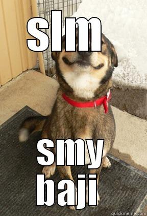 SLM  SMY BAJI  Good Dog Greg