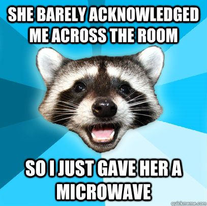 She barely acknowledged me across the room so i just gave her a microwave  Lame Pun Coon