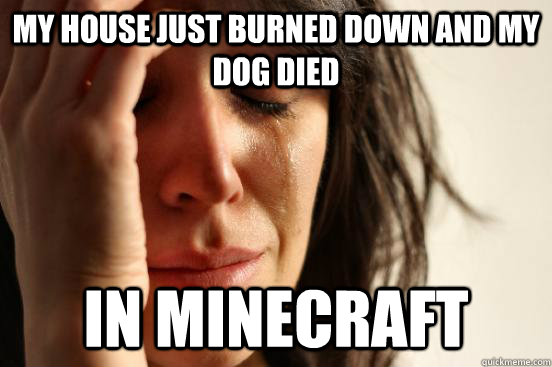 My house just burned down and my dog died In minecraft  First World Problems