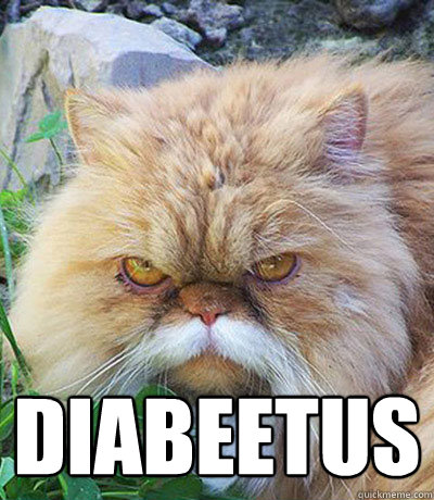  Diabeetus  Diabeetus Cat