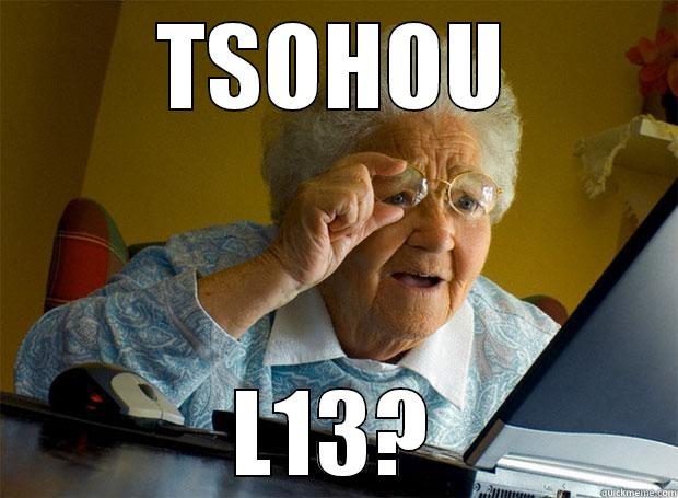 TSOHOU L13? Grandma finds the Internet