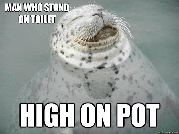 High on pot man who stand on toilet  Zen Seal