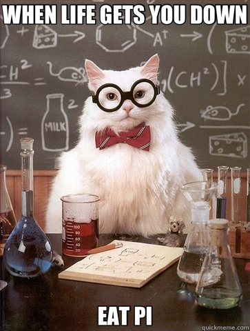 WHEN LIFE GETS YOU DOWN EAT PI  Chemistry Cat