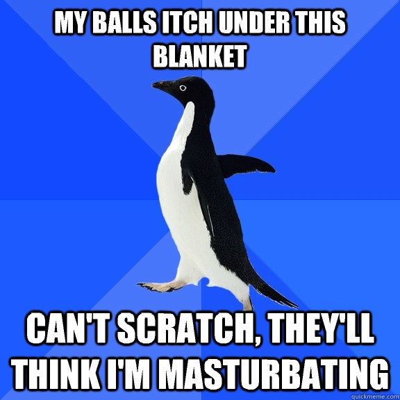 My balls itch under this blanket Can't scratch, they'll think I'm masturbating  Socially Awkward Penguin