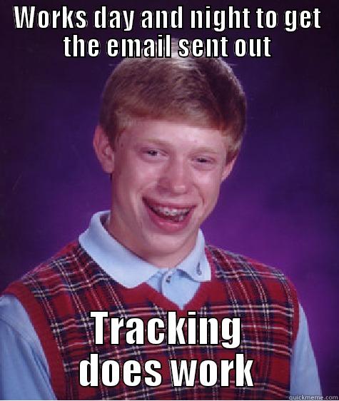 WORKS DAY AND NIGHT TO GET THE EMAIL SENT OUT TRACKING DOES WORK Bad Luck Brian