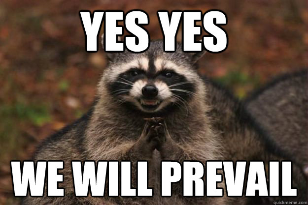 Yes Yes We will prevail  Evil Plotting Raccoon