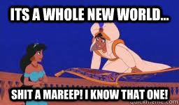 Its a whole new world... Shit a mareep! I know that one!  