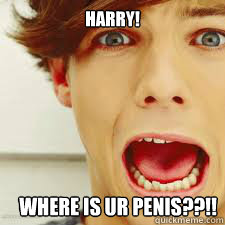 HARRY! WHERE IS UR PENIS??!!  One Direction