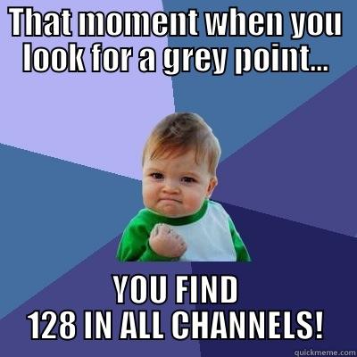 THAT MOMENT WHEN YOU LOOK FOR A GREY POINT... YOU FIND 128 IN ALL CHANNELS! Success Kid
