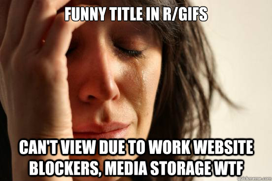 FUNNY TITLE IN R/GIFS CAN'T VIEW DUE TO WORK WEBSITE BLOCKERS, MEDIA STORAGE WTF - FUNNY TITLE IN R/GIFS CAN'T VIEW DUE TO WORK WEBSITE BLOCKERS, MEDIA STORAGE WTF  First World Problems