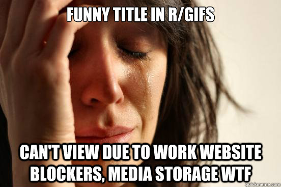 FUNNY TITLE IN R/GIFS CAN'T VIEW DUE TO WORK WEBSITE BLOCKERS, MEDIA STORAGE WTF  First World Problems