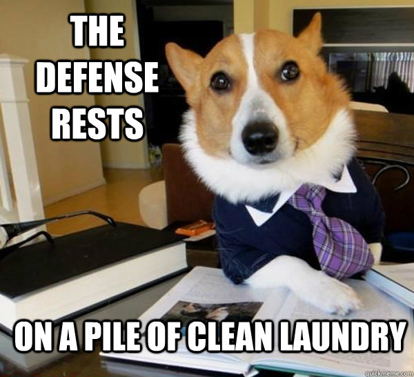The defense rests on a pile of clean laundry  Lawyer Dog