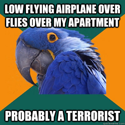 low flying airplane over flies over my apartment probably a terrorist  Paranoid Parrot