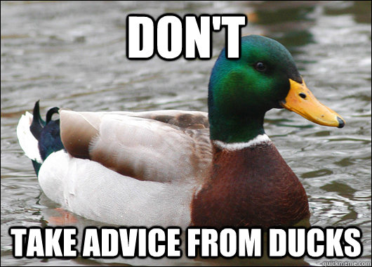 DON'T  take advice from ducks  Actual Advice Mallard