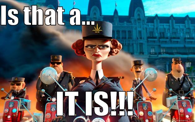 IS THAT A...                        IT IS!!! Misc