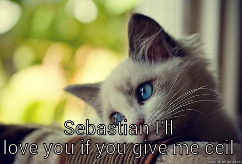  SEBASTIAN I'LL LOVE YOU IF YOU GIVE ME CEIL First World Problems Cat