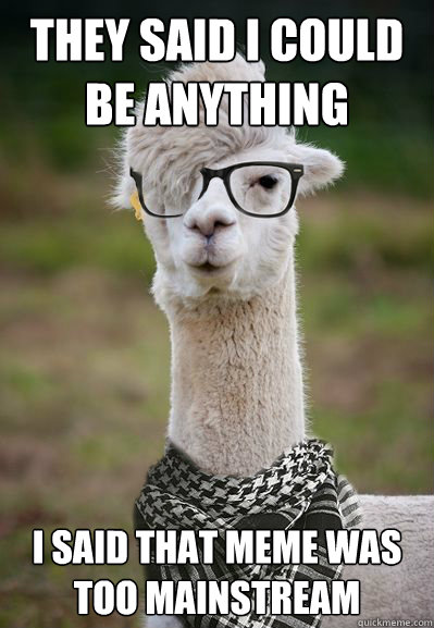 They said i could be anything I said that meme was too mainstream - They said i could be anything I said that meme was too mainstream  Hipster Llama
