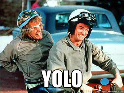 YOLO - YOLO  yolo dumb and dumber