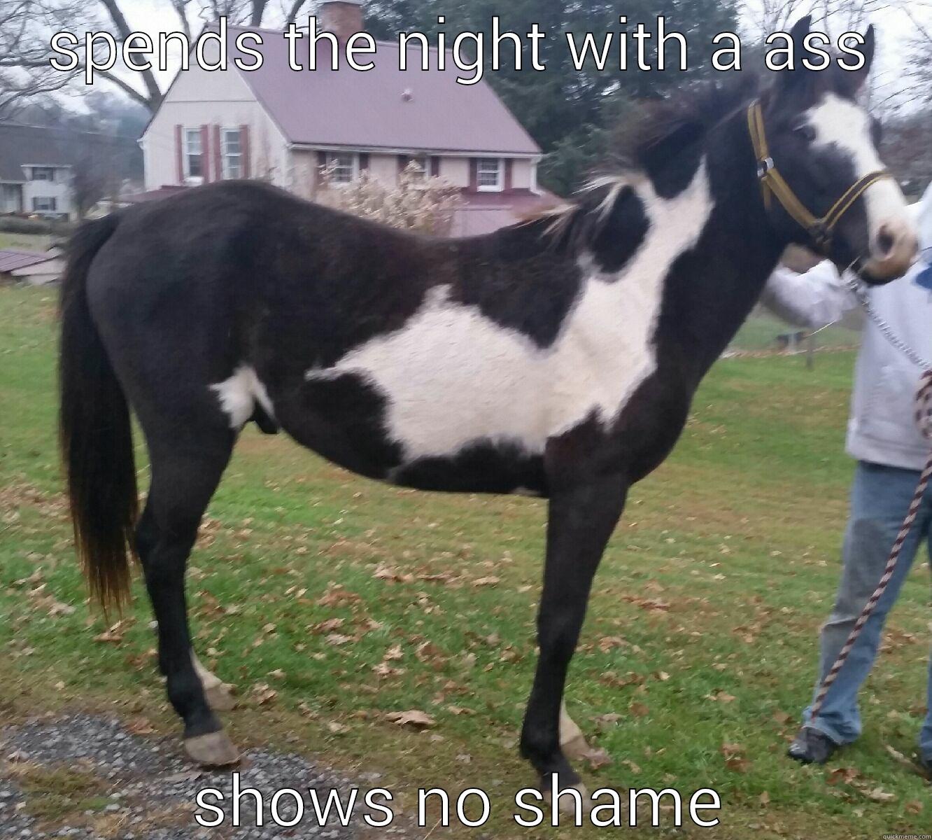 SPENDS THE NIGHT WITH A ASS SHOWS NO SHAME Misc