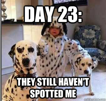 day 23: they still haven't spotted me - day 23: they still haven't spotted me  Misc