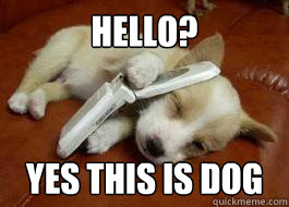 Hello? Yes this is dog - Hello? Yes this is dog  Doggg