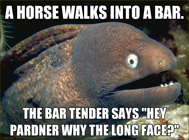 A horse walks into a bar. The bar tender says 