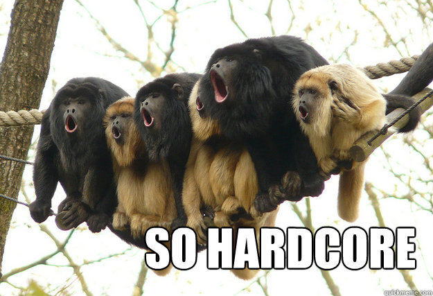 So Hardcore - So Hardcore  So Hardcore Monkeys