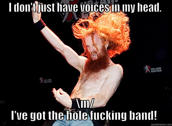 I DON'T JUST HAVE VOICES IN MY HEAD. \M/  I'VE GOT THE HOLE FUCKING BAND!   Misc
