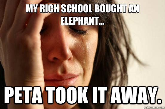 My rich school bought an elephant... PETA took it away.  First World Problems