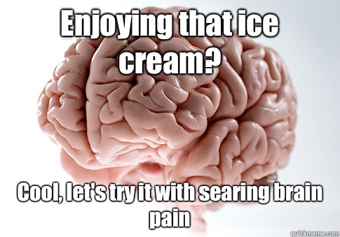 Enjoying that ice cream? Cool, let's try it with searing brain pain   Scumbag Brain
