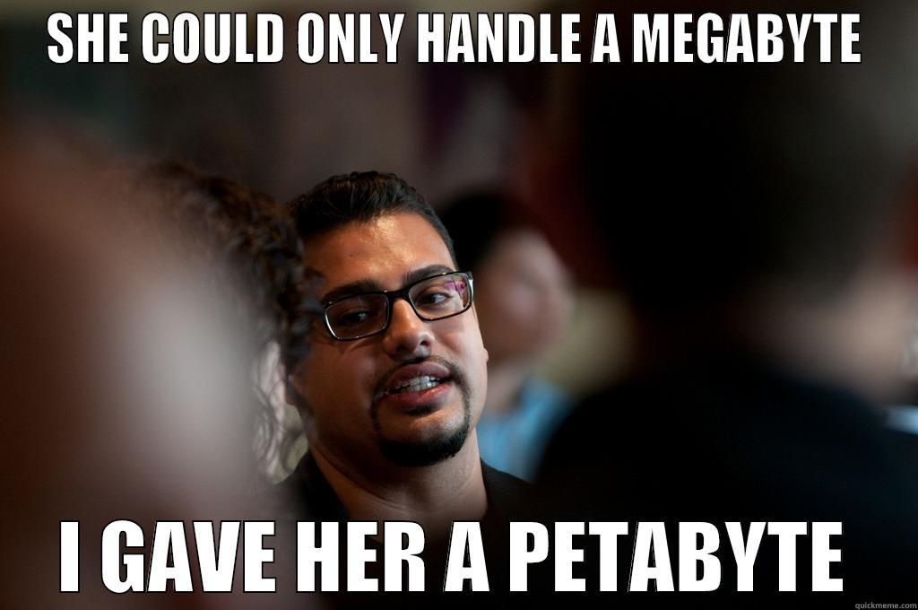 SHE COULD ONLY HANDLE A MEGABYTE I GAVE HER A PETABYTE Misc