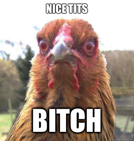 Nice tits Bitch - Nice tits Bitch  RageChicken