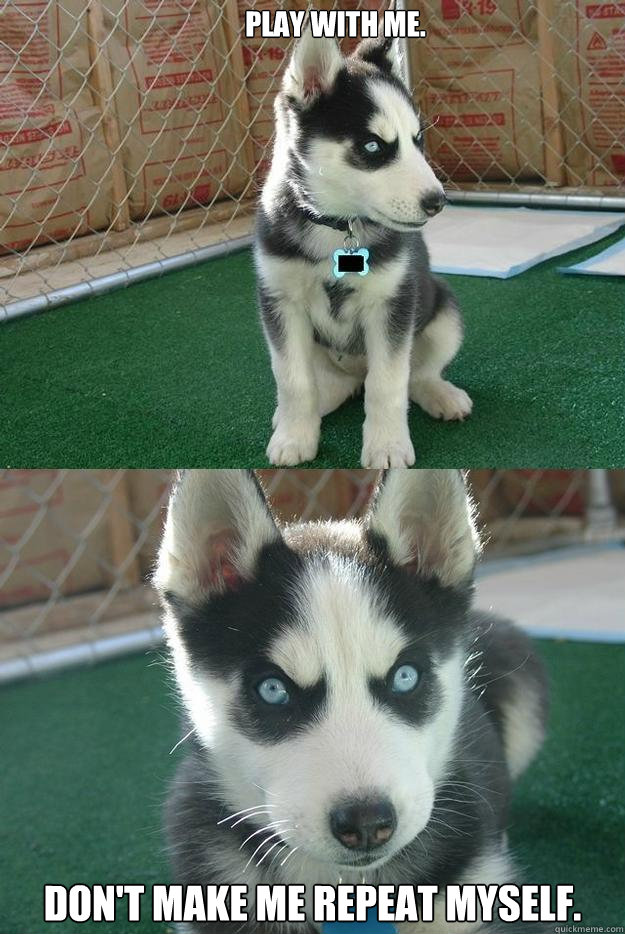 Play with me. Don't make me repeat myself.  Insanity puppy