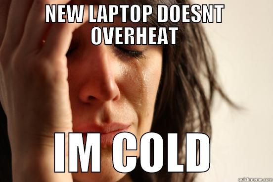 NEW LAPTOP DOESNT OVERHEAT IM COLD First World Problems