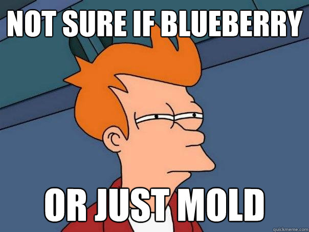 not sure if blueberry Or just mold  Futurama Fry