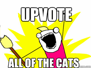 UPVOTE ALL OF THE CATS  All The Things