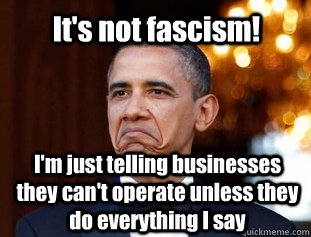 It's not fascism! I'm just telling businesses they can't operate unless they do everything I say  Not Bad Obama