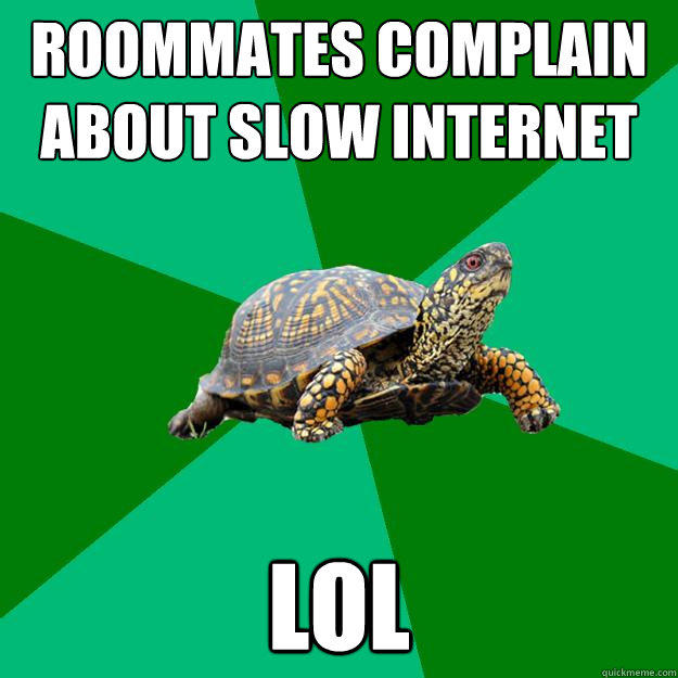 roommates complain about slow internet lol  Torrenting Turtle