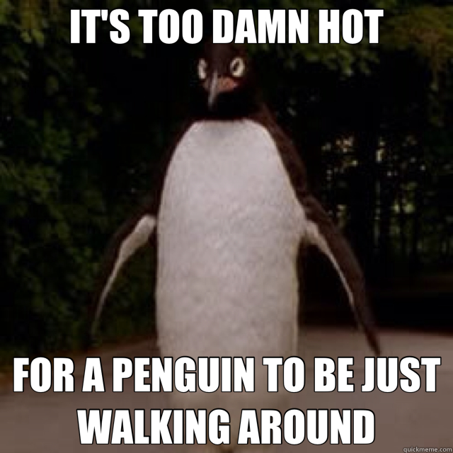 IT'S TOO DAMN HOT FOR A PENGUIN TO BE JUST WALKING AROUND  