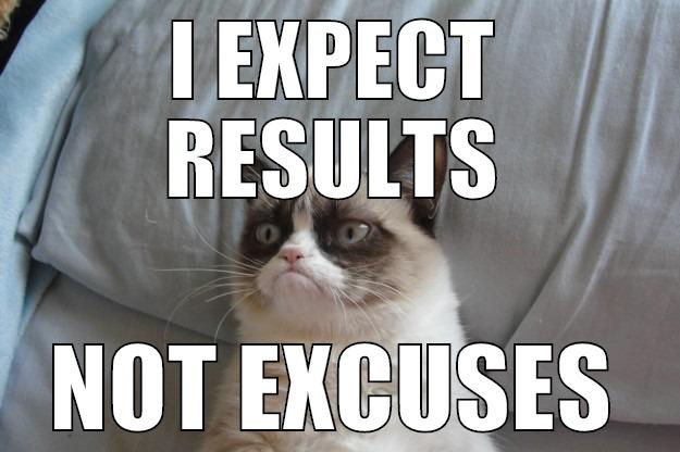 I EXPECT RESULTS NOT EXCUSES Grumpy Cat