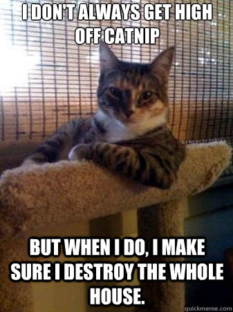 i don't always get high off catnip but when i do, i make sure i destroy the whole house.  The Most Interesting Cat in the World